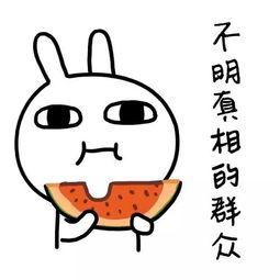 娱乐吃瓜群名称大全搞笑,笑料横生！揭秘娱乐吃瓜群名称大全的搞笑魅力
